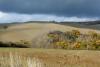 Percorrendo la Cassia, terra di velluto