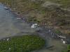 Sulle sponde dell'Arno a Firenze