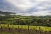 colline toscane, toscana paesaggio