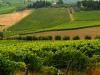 Chianti fiorentino, Montespertoli